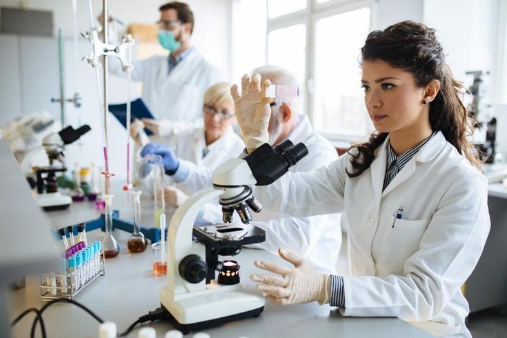 Anatomy, Physiology, and Pharmacology